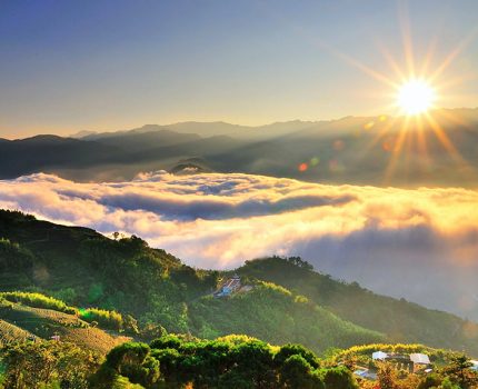 阿里山民宿推薦與旅遊攻略