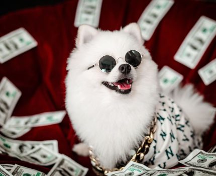 借貸全方位指南：從理論到實務，讓你玩轉資金流動