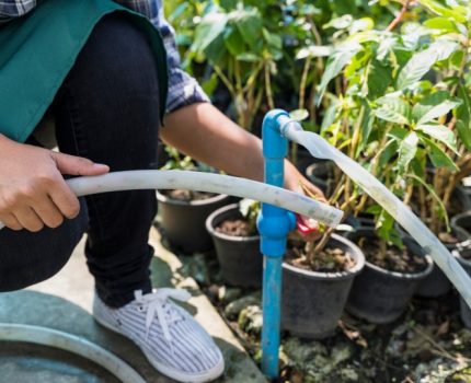 自來水倒灌?抽水肥不及時清理的危險信號