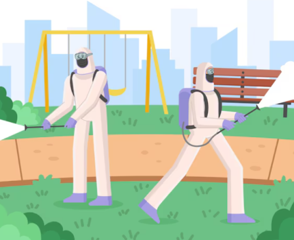 除白蟻費用與保固年限關係｜選擇前必看