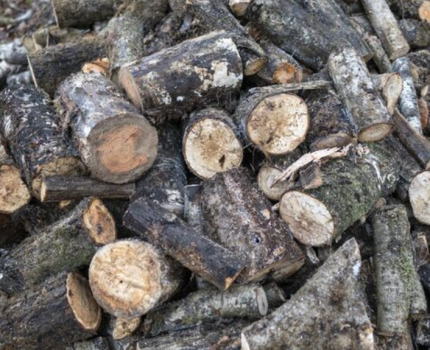 搬家時的廢棄木頭怎麼處理？大型家具拆解、分類與清運完整指南