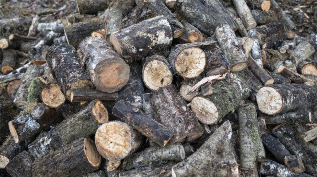 搬家時的廢棄木頭怎麼處理？大型家具拆解、分類與清運完整指南