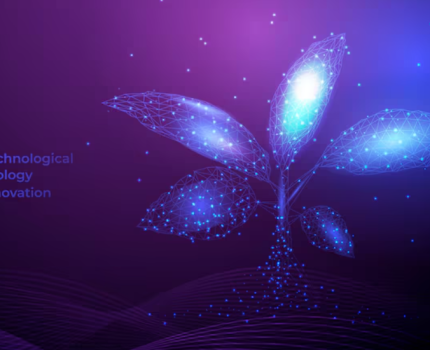 蝴蝶電波需不需要恢復期？施作後的日常作息與注意事項