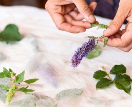 芳療課程推薦，其實是在幫你找到適合長期投入的學習節奏